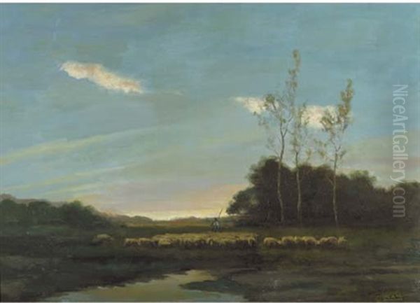 The Heath At Sunset - view 1