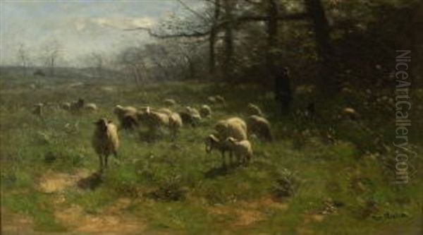 Hirte Mit Schafen Auf Der Weide Am Waldrand - view 1