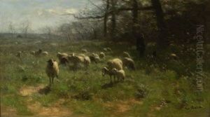 Hirte Mit Schafen Auf Der Weide Am Waldrand