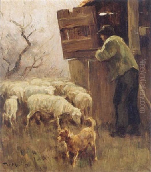 A Farmer And His Sheep - view 1