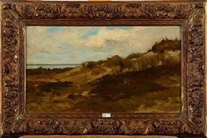 Dunes Dunes