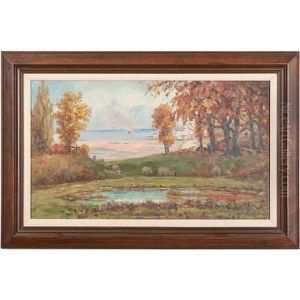 Pond With Sheep Pond With Sheep