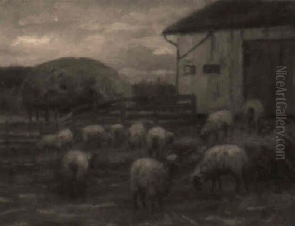 Farmyard With Sheep - view 1