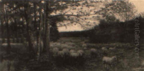 The Valley Pasture - view 1