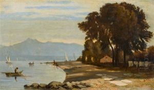 Ufer Am Lac Leman by Albert De Meuron