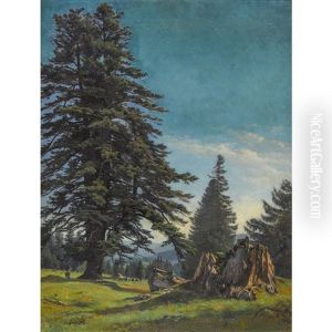 Sapin Du Jura by Albert De Meuron