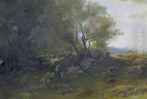 Sommerlicher Waldrand by Albert De Meuron