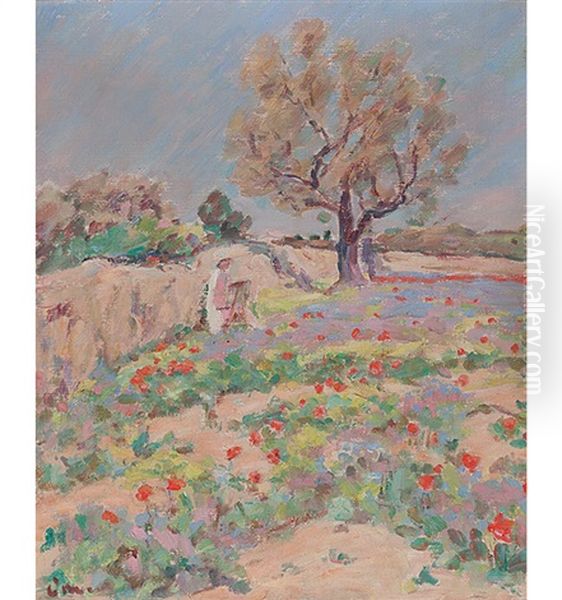 Meuron - view 1