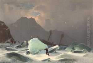 Der Schiffbruch Im Eismeer