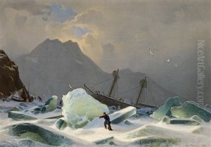 Im Eismeer by Hermann Mevius