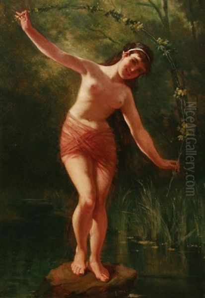 Woodland Nymph - view 1