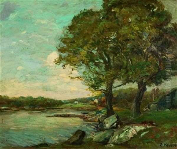 Trees By The Lake - view 1