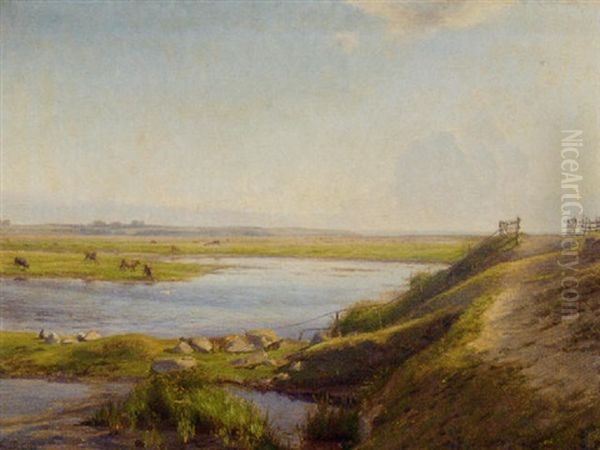 Cattle Grazing By A River Estuary - view 1
