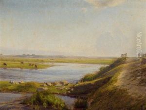 Cattle Grazing By A River Estuary