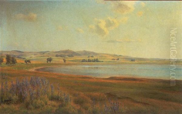 Sommerlandskab, Mols - view 1
