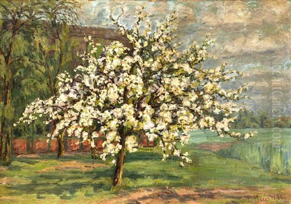 Bluhender Obstbaum - view 1