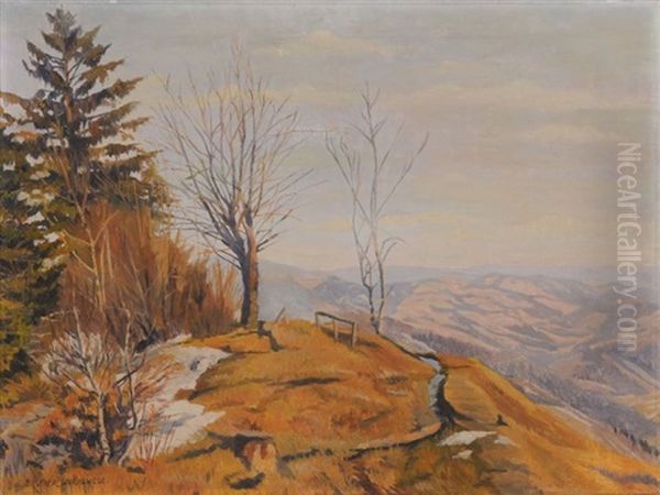Bei Monichkirchen (niederosterreich) - view 1