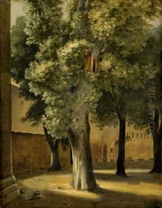 Baumstudien Im Klostergarten Von Procida by Ernst Meyer