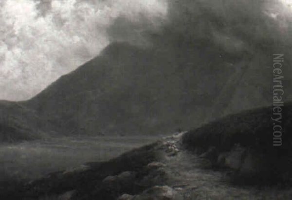 Sheep Along A Path In The Mountains - view 1