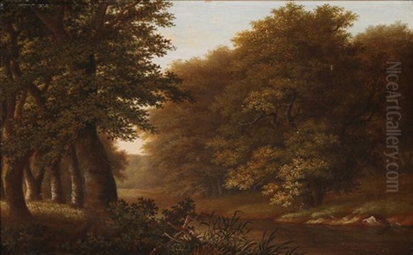 Forest Scene - view 1