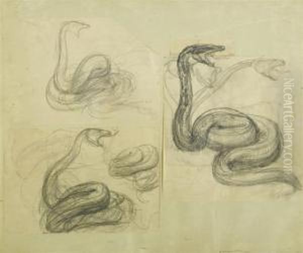 Lot Of Three Sheets With Studies Of Snakes - view 1