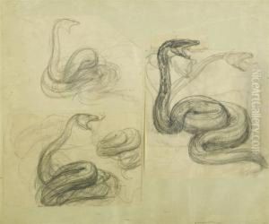Lot Of Three Sheets With Studies Of Snakes