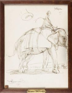 Homme Sur Un Elephant