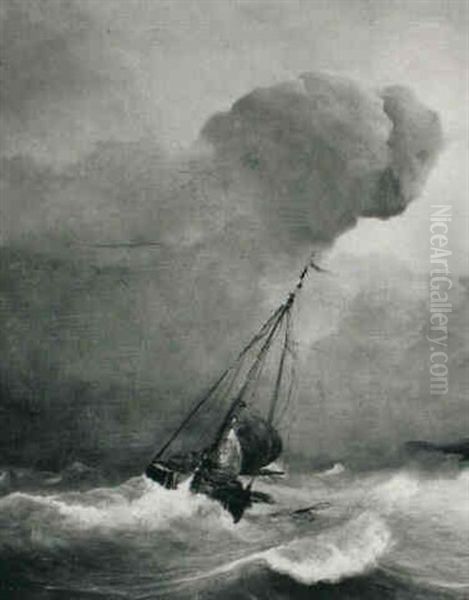 Shipping In A Storm - view 1