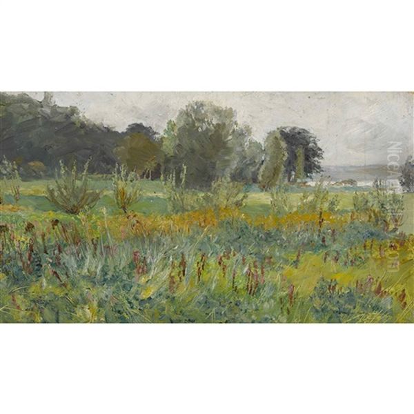 Landschaft Beim Schloss Arenenberg - view 1