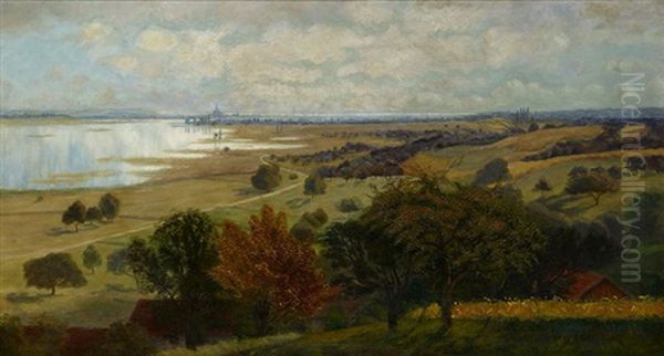 Unterseelandschaft Bei Ermatingen. Im Hintergrund Konstanz - view 1