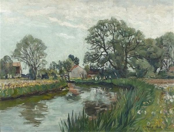 Sommerliche Landschaft Mit Kleinem Fluss - view 1