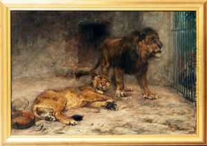 Lowen Im Gehege by Paul Friedrich Meyerheim