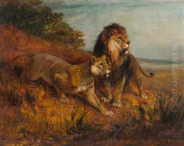 Two Lions In The Savanna - view 1