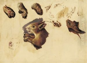 Eichhornchen (studies) by Paul Friedrich Meyerheim