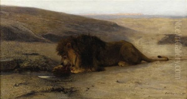 The Lion - view 1