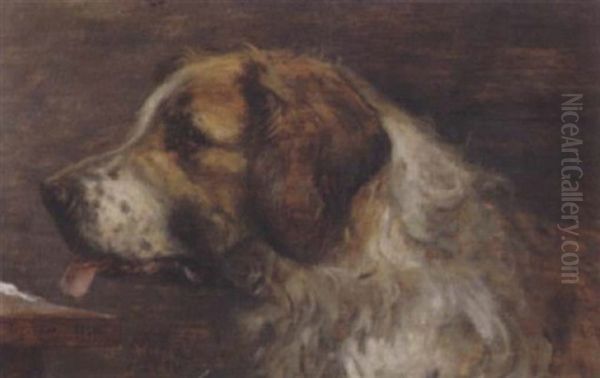 Darstellung Eines Bernhardinerhundes - view 1