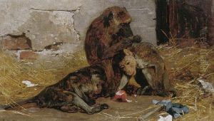 Drei Affen Im Zoo Suchen Nach Flohen by Paul Friedrich Meyerheim