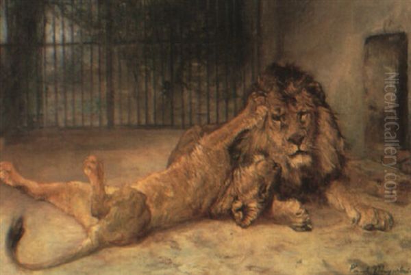 Lioness And Her Cub In A Cage - view 1