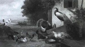 Tierfamilie Tierfamilie