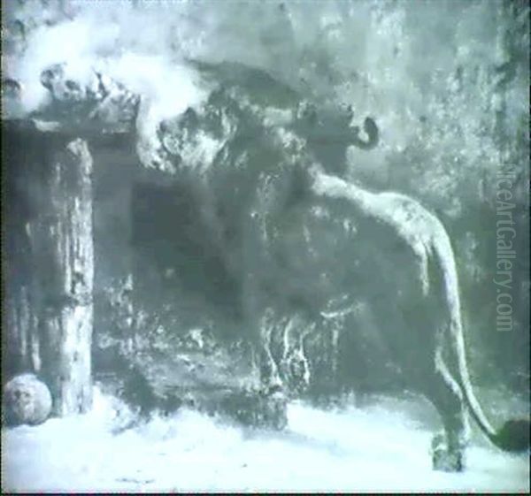 Lions - view 1