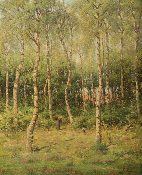 Foret De Bouleaux Animee D'une Ramasseuse De Bois - view 1