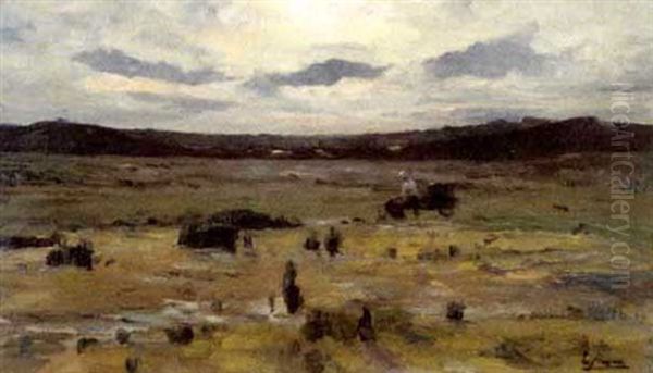Heide Te Wechelderzande - view 1
