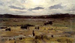 Heide Te Wechelderzande Heide Te Wechelderzande