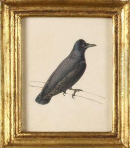 Corbeau by Pancrace Bessa