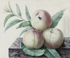 Peaches by Pancrace Bessa