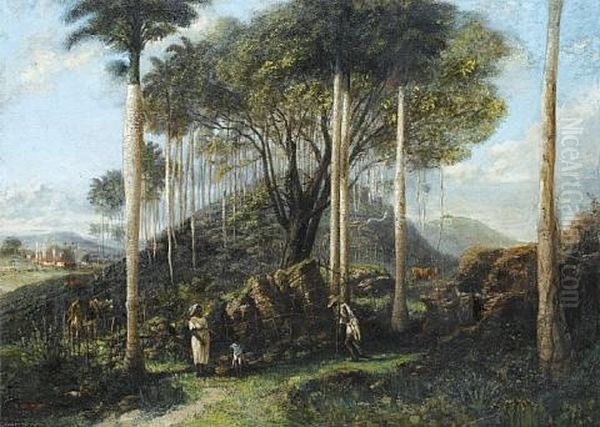 Countryside Scene, Cuba - view 1