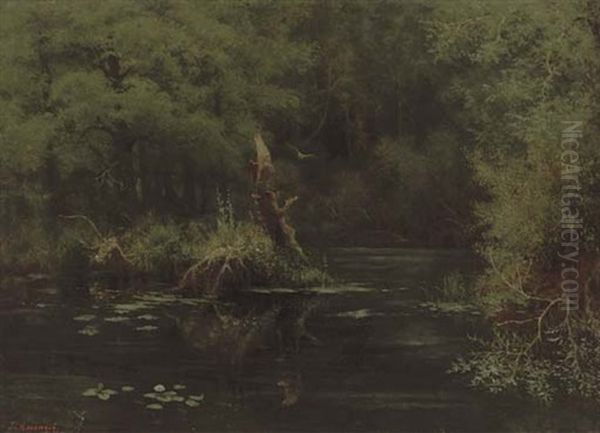 An Owl In Flight Over Woodland Water - view 1