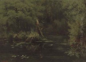An Owl In Flight Over Woodland Water