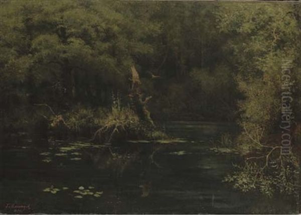 A Lake In A Forest Clearing - view 1