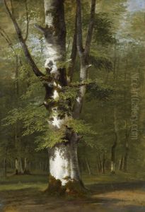 A Study Of A Tree by Achille Etna Michallon